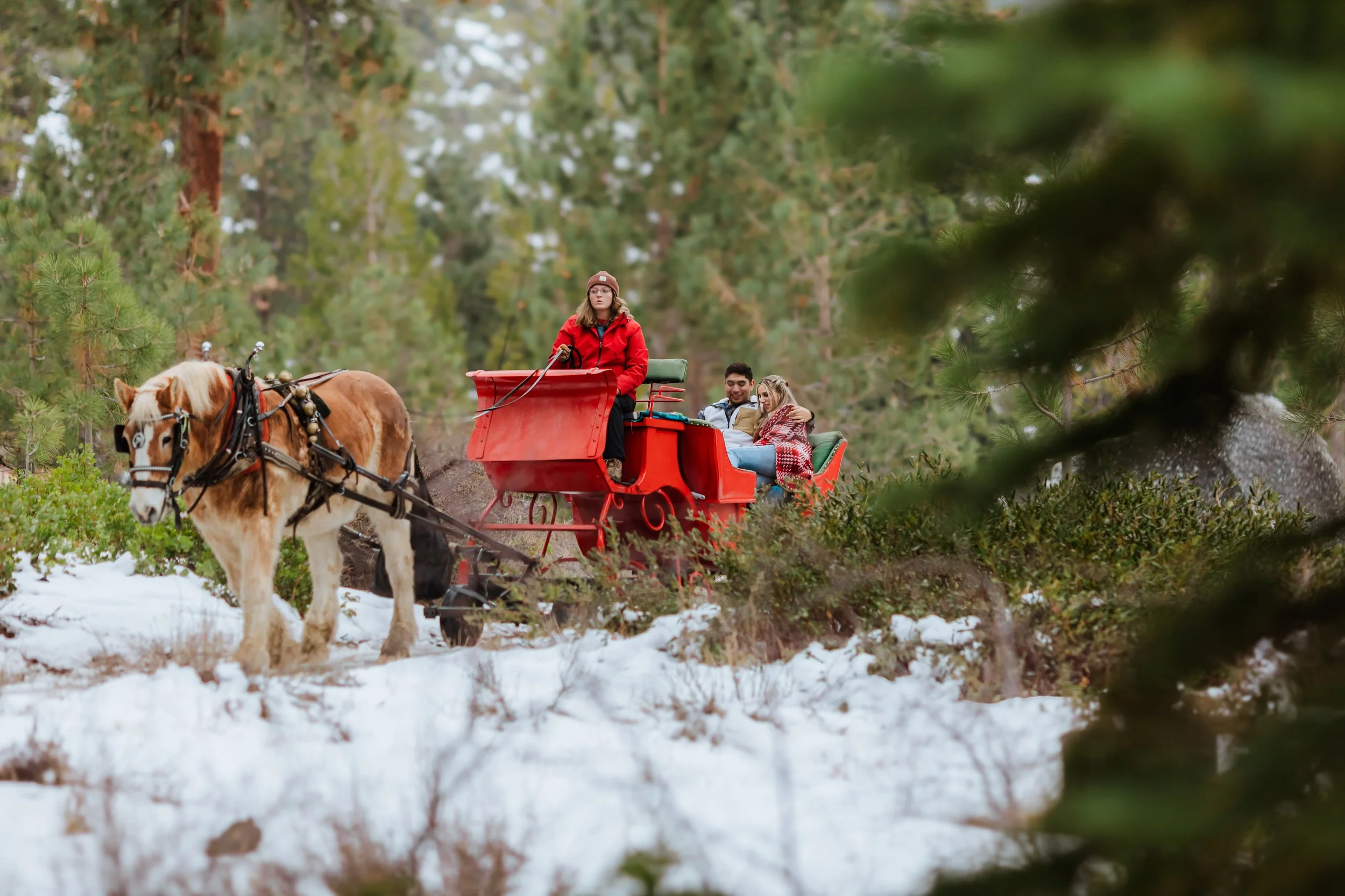 Open - 1/5/26 — Sleigh Rides at Sand Harbor State Park